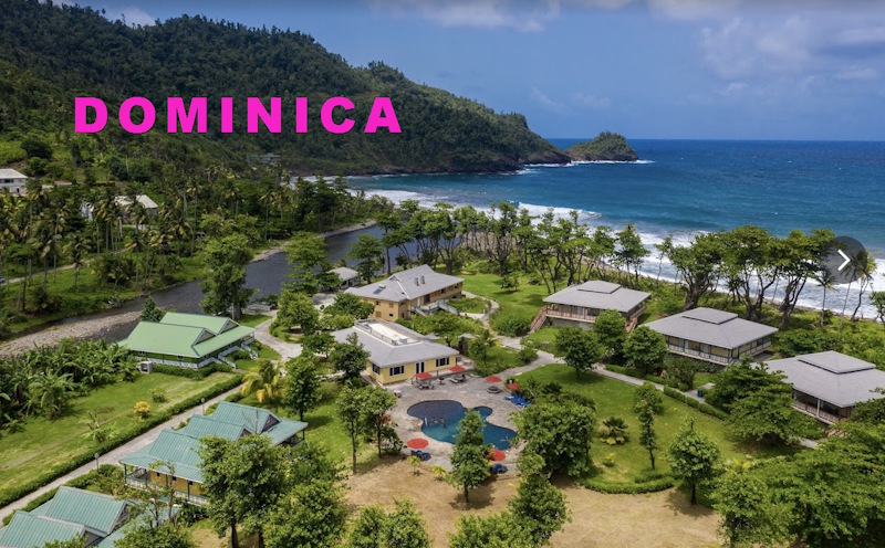 Artists Retreat in Dominica!